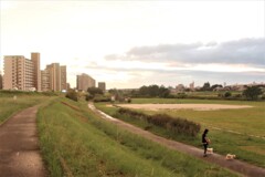 雨上がり