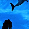 水族館