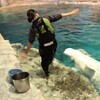 お姉さんと一緒