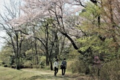 春を歩く