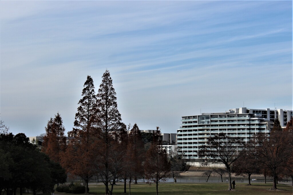 秋の空