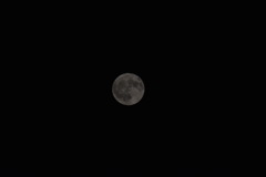 7月21日  満月