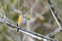 なにを見てるの