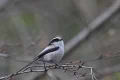 少し動かないで