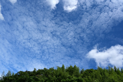 夏の空220724