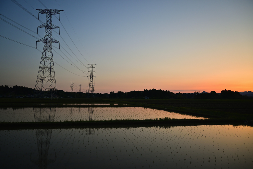 春の夕暮れ