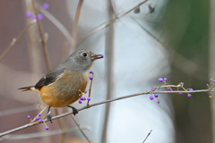 その実美味しいの？