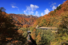 来たきた只見線