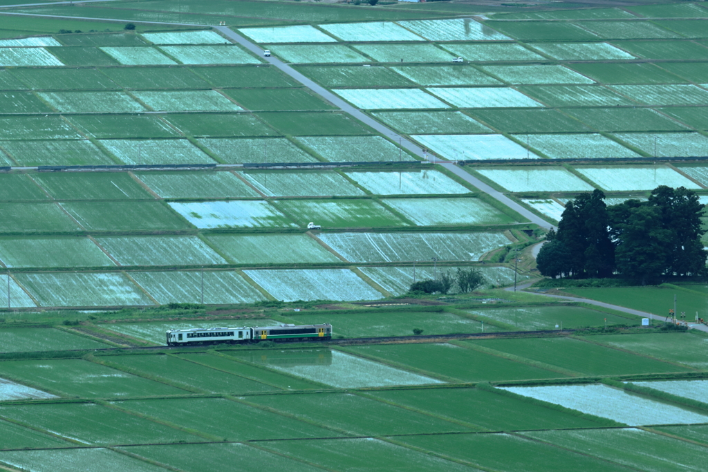 田園風景を走る只見線