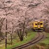 桜といすみ鉄道