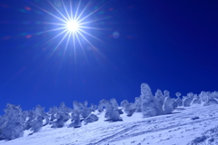 青空と樹氷と太陽