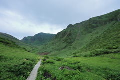 続く木道と緑　秋田駒ケ岳