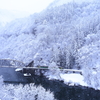 降り続く雪と只見線