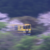 桜といすみ鉄道と少し流し撮り