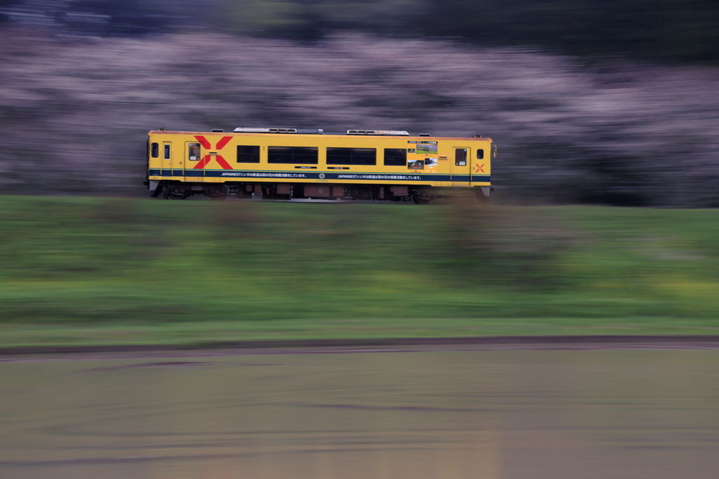 ガンバレいすみ鉄道