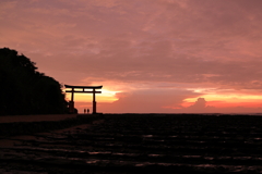 鳥居と散歩中のおふたり　青島神社