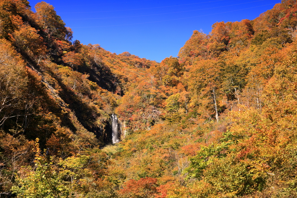 紅葉の中に小さな滝