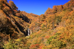 紅葉の中に小さな滝