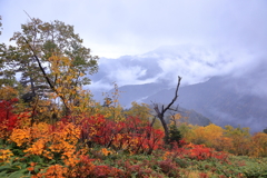 ガスと雨と紅葉　燕岳