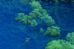 秋扇湖と水没林