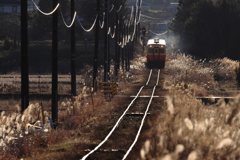 逆光の鉄道風景