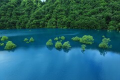 秋扇湖と水没林