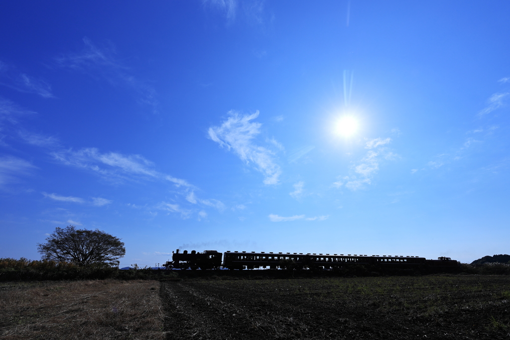シルエットのSL　煙なしでした