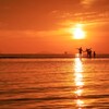 夕日