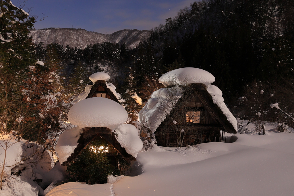 大きな雪の帽子
