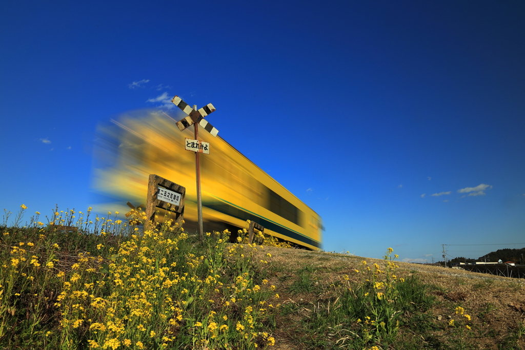 「とまれみよ」と、いすみ鉄道