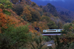 夕方の紅葉と明かりと列車