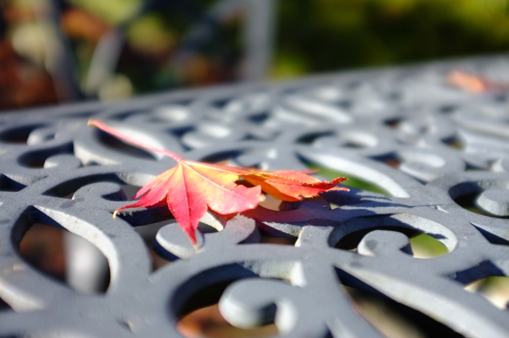 紅葉