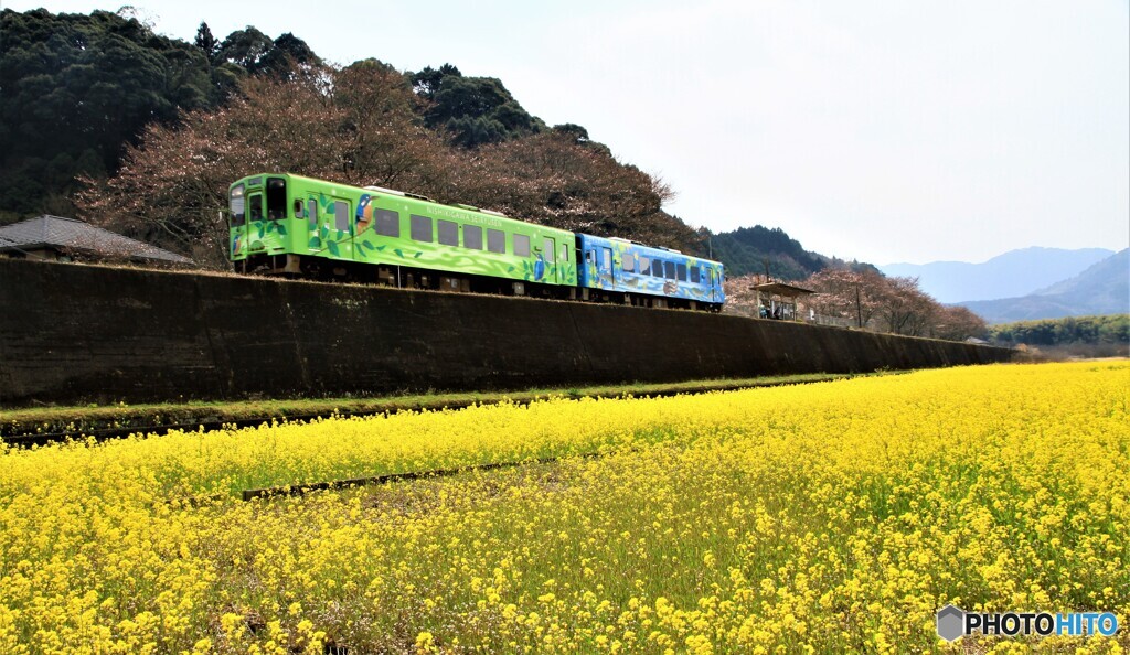 翡翠には鮎とヤマメ