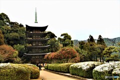 瑠璃光寺・五重塔（2）