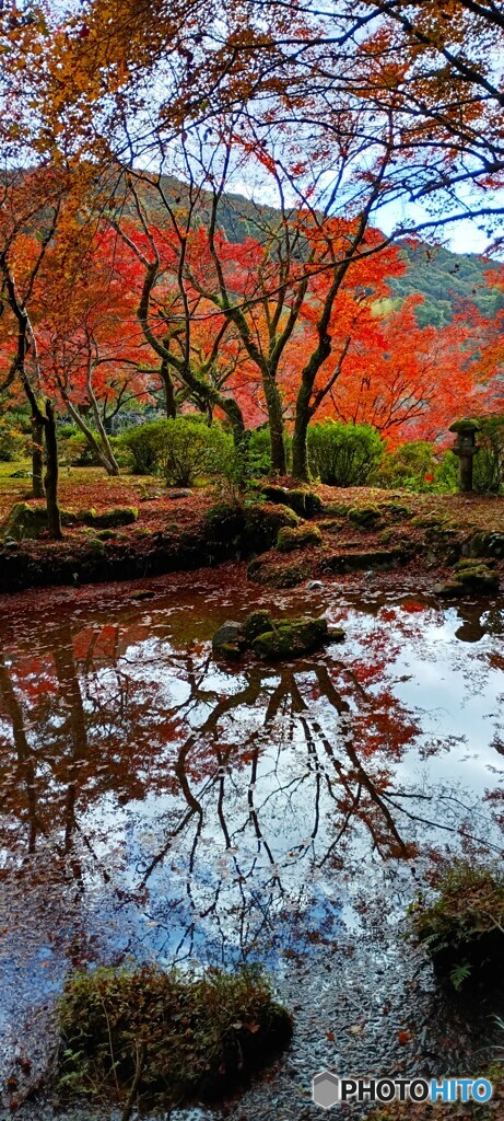 九年庵（秋の一般公開）③