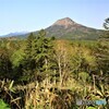 雄阿寒岳遠望