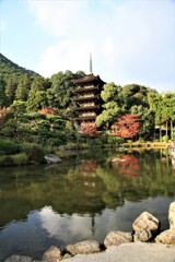 午後の瑠璃光寺五重塔
