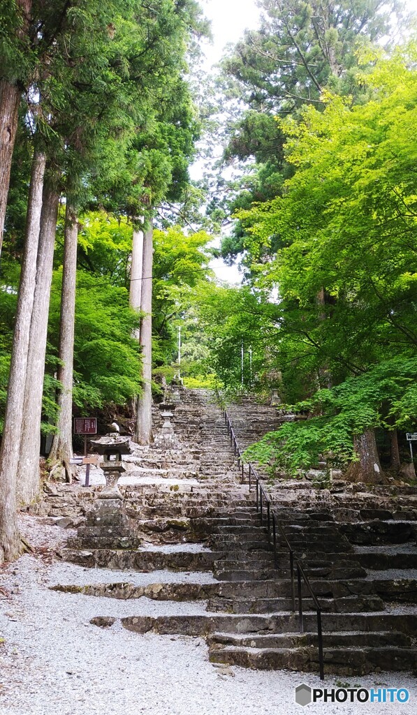 最後の一登りで奉幣殿