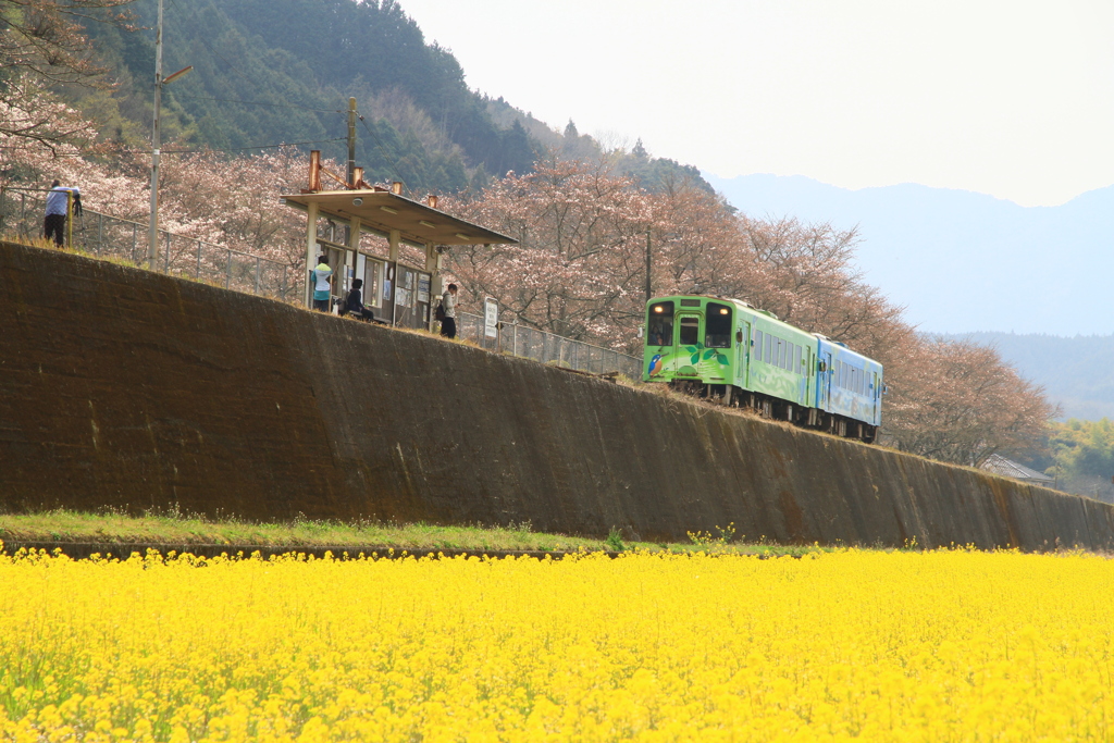 錦川清流線