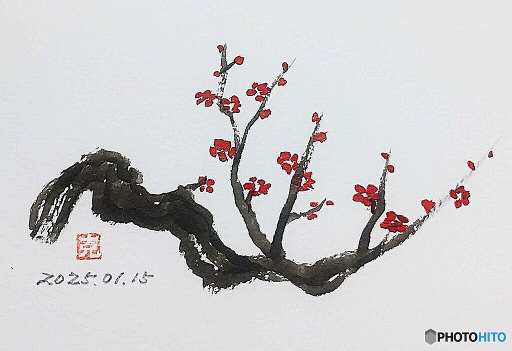 紅梅