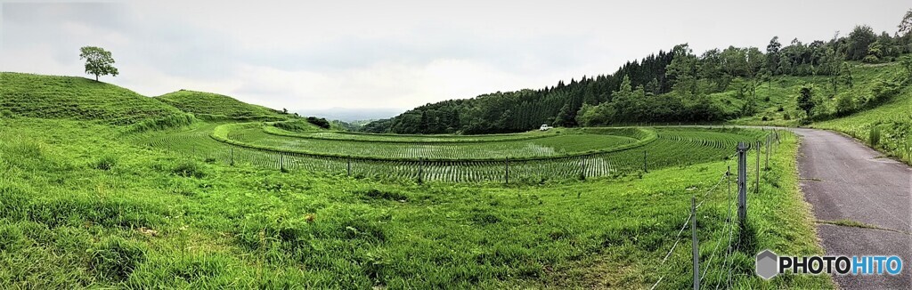 扇棚田　Ⅱ
