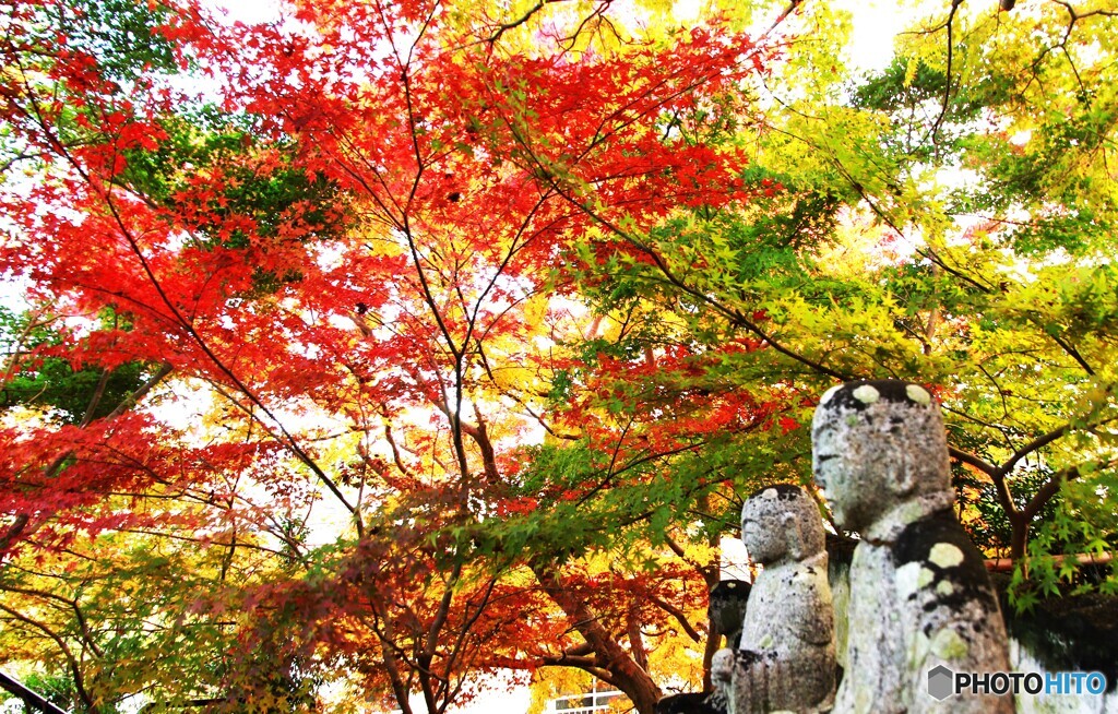 お地蔵様も紅葉を愛でてます