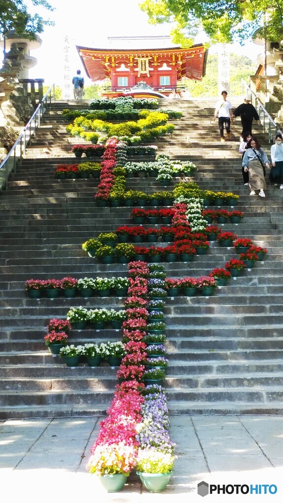 防府天満宮　参道階段の花文字