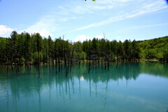 青い池