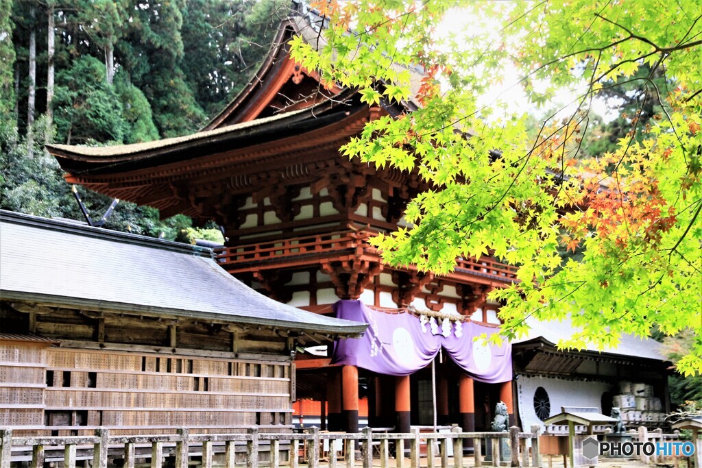 丹生都比売神社　神饌所と楼門