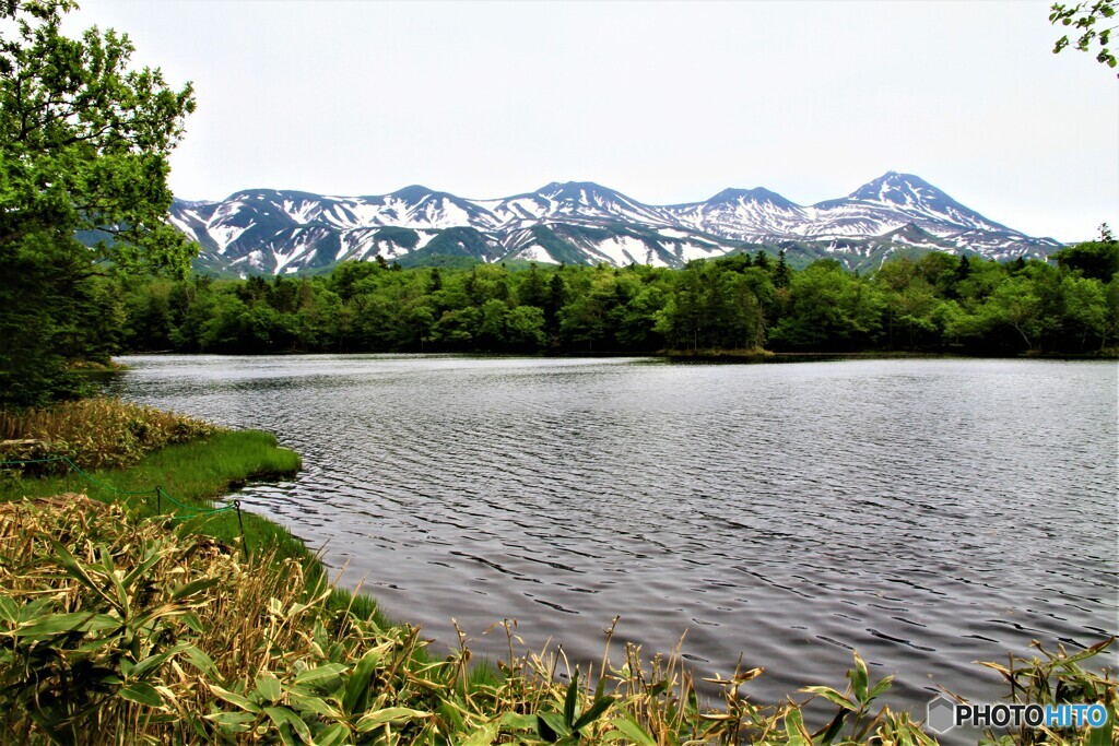 知床三湖から見る知床連山