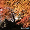 津和野城跡の紅葉　Ⅰ