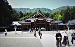 弥彦神社・本殿