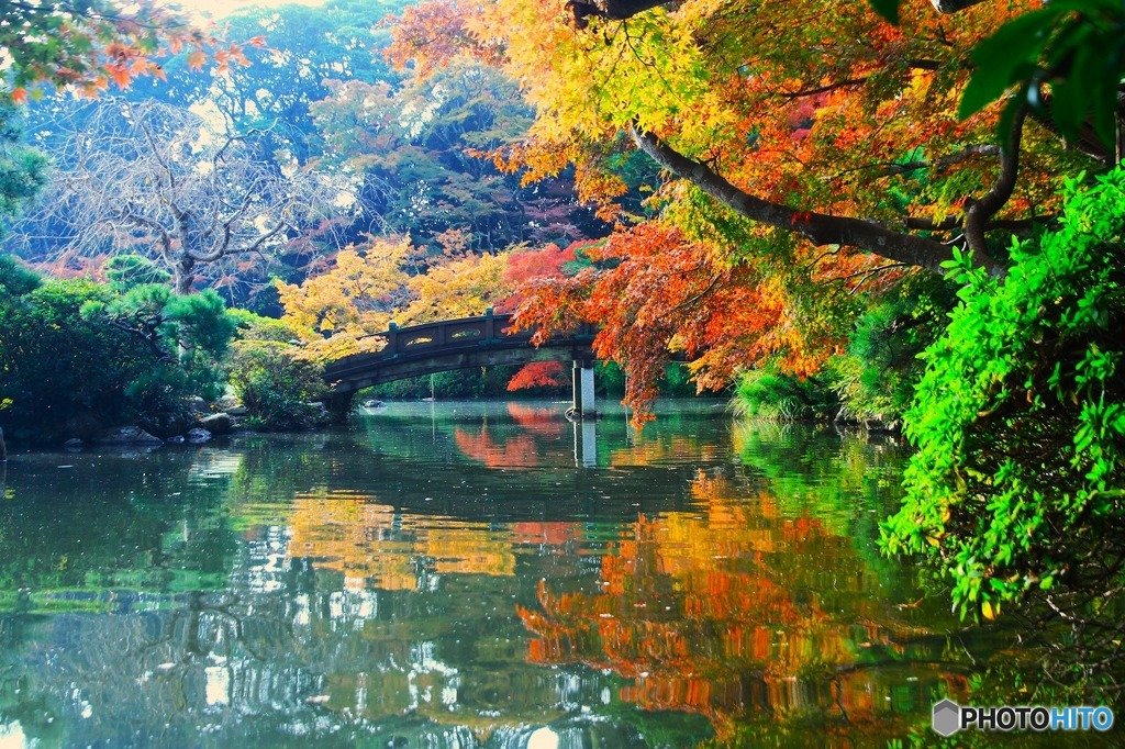 庭園の緑と紅葉