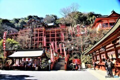 祐徳稲荷神社（境内から仰ぐ拝殿）